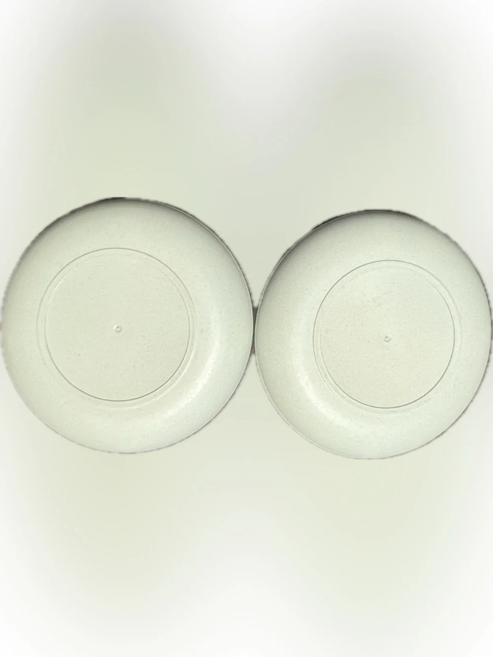 DeeCoo Dinner Plates Pale Green Chip Resistant Set of 2